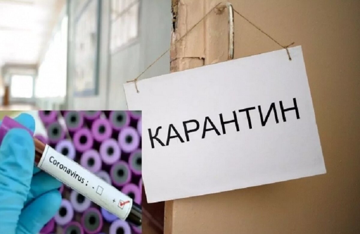 Коронавирус опустошит российские школы: Министерство просвещения рекомендует дистанционное обучение