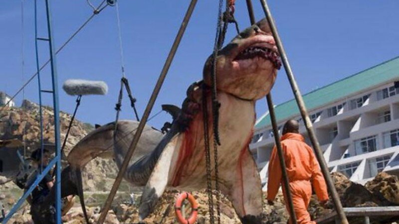 В Пакистане поймали 15-тонную доисторическую акулу, которую считали вымершей миллионы лет назад 