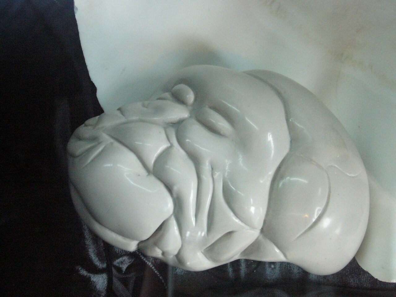 Филиппинский рыбак хранил дома крупнейшую в мире жемчужину, не зная, что ее цена больше $100 млн