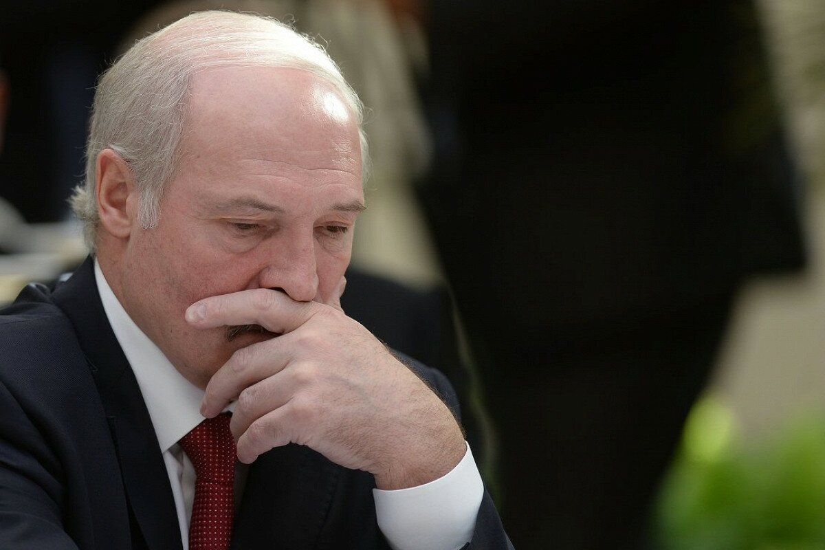 У Жириновского предрекли Лукашенко "слезы" и "судьбу Януковича"