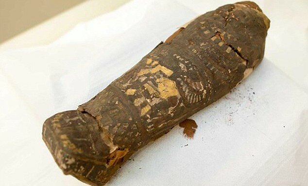 Археологи поразили новым открытием: в музее найден 20-недельный мумифицированный плод ребенка-выкидыша
