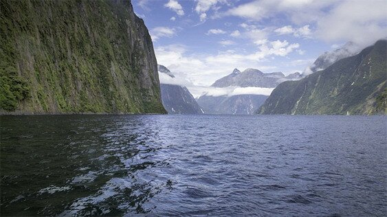 На затонувшем континенте Зеландия нашли следы жизни 