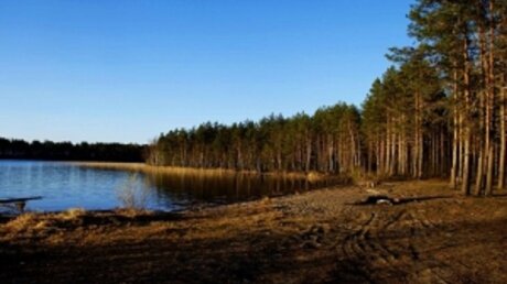 Валентина Пивненко, Карелия, дети, лагерь, Госдума, Парк-отель Сямозеро