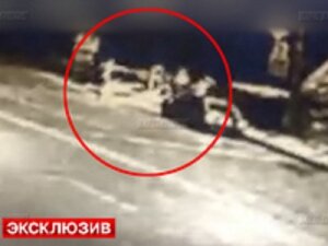 Россия, Волгоград, криминал, общество, МВД