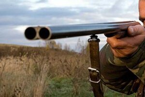 новости, происшествия, новости, татарстан, охотник, общество, зверь, охота, ружье, россия, следственный комитет