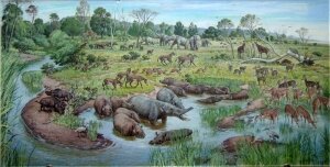 животные, крупные млекопитающие, коровы, Университет Нью-Мексико, homo erectus, homo sapiens, палеонтологи, рогатый скотс