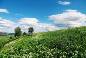 россия, рф, погода в россии, весна, температура