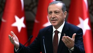 эрдоган, курды, сша, союзники, демократический союз, сирия 