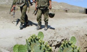 таджикистан, новости душанбе, спецоперация, боевики, назарзода 