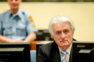 Радован Караджич, Босния, Сербия, Гаага, Гаагский трибунал, война на Балканах, резня в Сребренице