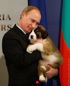 Путин, Россия, собака, Прямая линия, Ростов