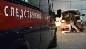 новости росси, самолет, ребеонок, изнасилование, педофил