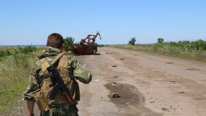 днр, лнр, выборы, указ, минские соглашения, госдума
