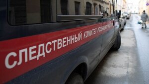 Тула, СКР, задержание, криминал, изнасилование, мужчина, школьницы, уголовное производство