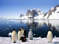 антарктида, экспедиция, ученые, озеро восток