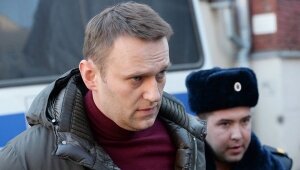 алексей навальный, криминал, суд, россия, общество, приговор суда, олег навальный, вадим кобзев