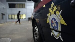 следственны2й1 комитет, реформа, аресты, коррупция, россия