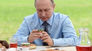 путин, клюква, ягоды, сельское хозяйство, закупка, йогурт, водка