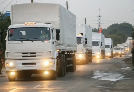 видео, видеофакт, %category_name%, видео 2014, rusDialog.ru