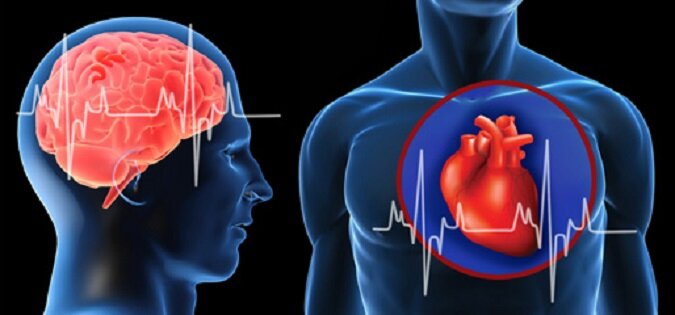Как не умереть от инфаркта и инсульта? Ученые сделали поразительно простое открытие