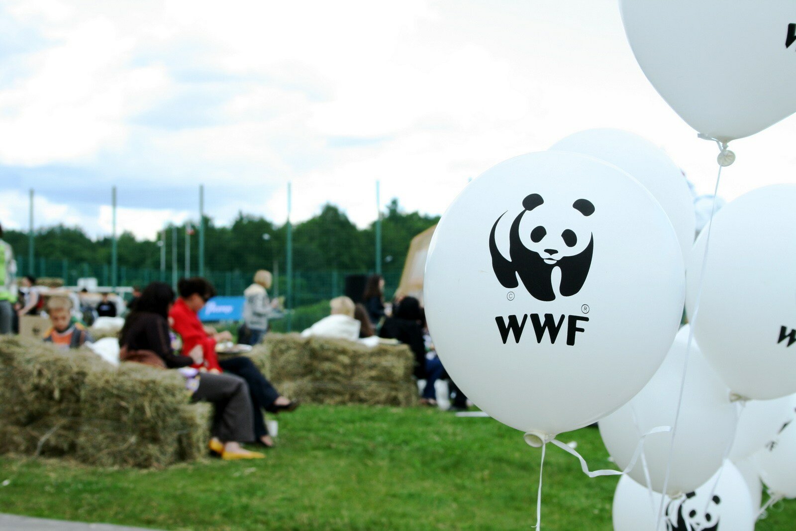 WWF: на грани масштабного исчезновения оказались некоторые виды фауны