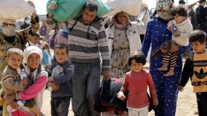 В Дании жестоко убили семью из Сирии, заморозив тела женщины и двоих детей в холодильнике