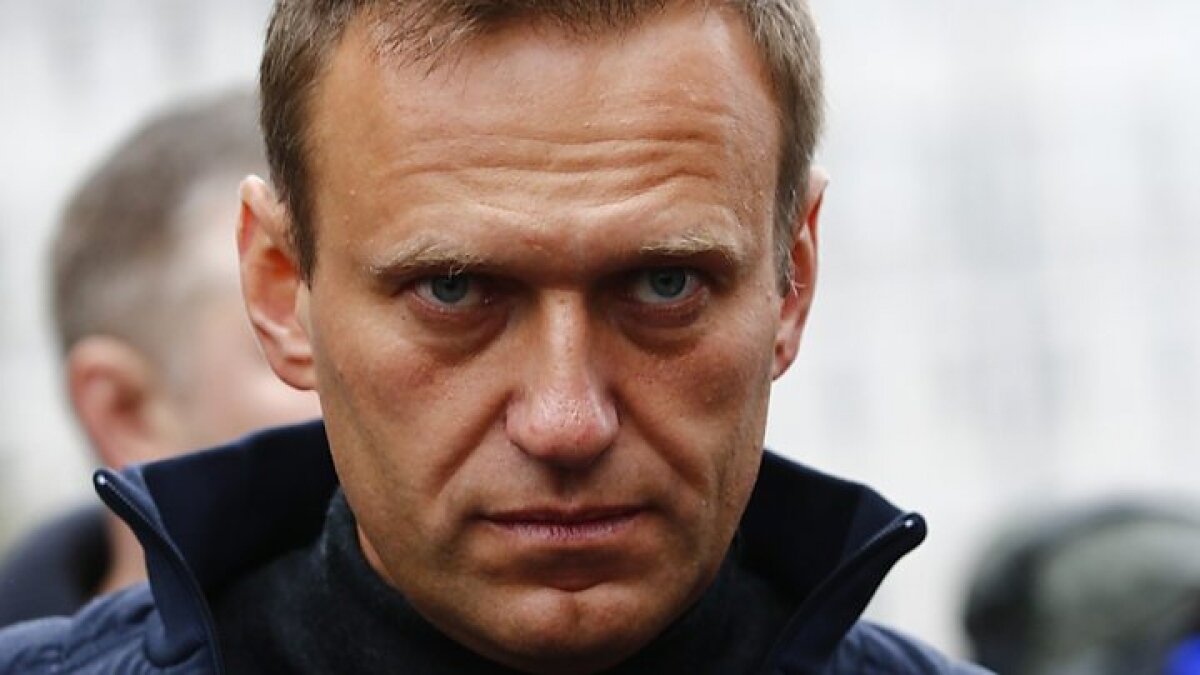 Разработчик "Новичка" Ринк опроверг новое заявление ФРГ по делу Навального: "Чушь собачья"