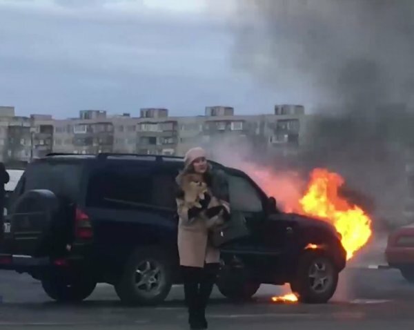 В Белгородской области храбрый водитель спас собаку из горящего автомобиля - кадры