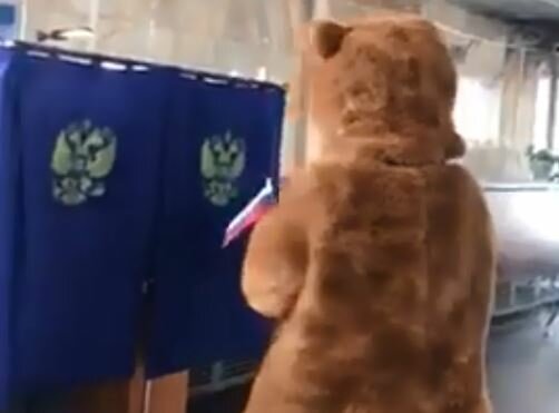 В Бурятии “медведь” пришел на избирательный участок и попытался пролезть в кабинку для голосования – кадры