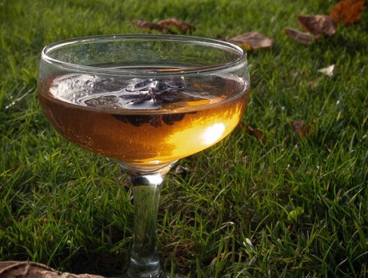 Канада, Наука, Эпидемия, Грипп, Вирус, Здоровье, Медицина, Напитки, Лечение