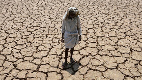 Земля переживает шестой этап вымирания: Названы виды животных, которые скоропостижно вымрут на нашей планете