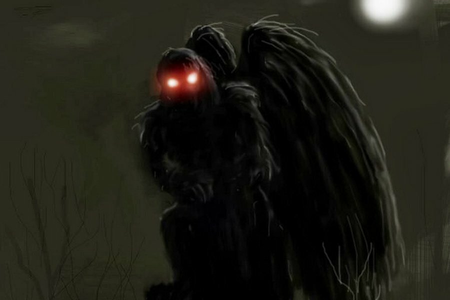 Человек мотылек картинки