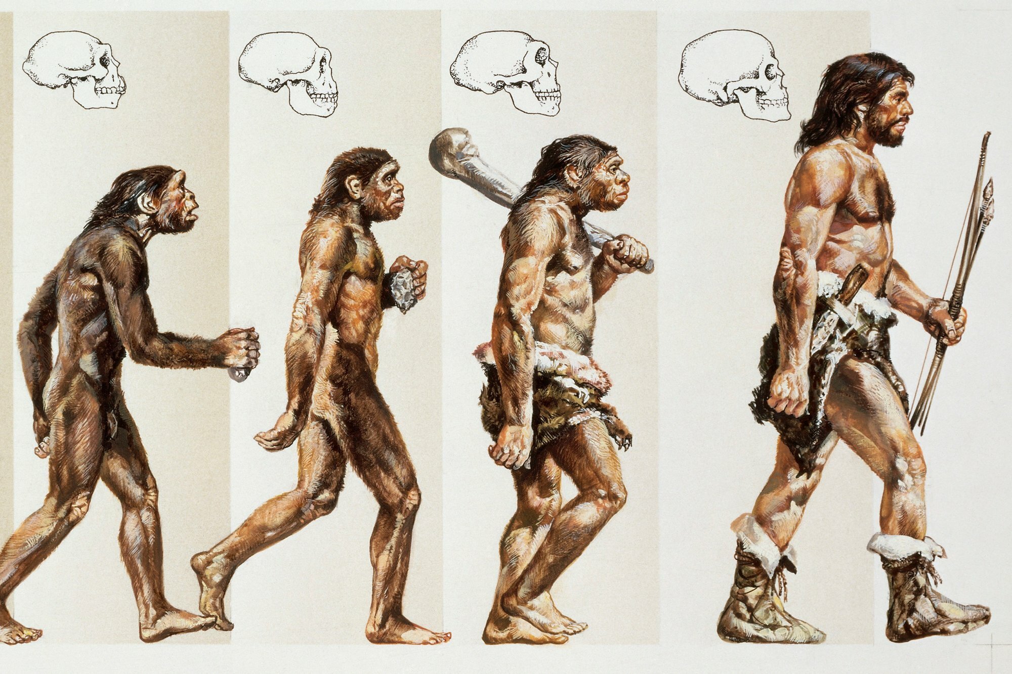 Геологи рассказали о новой теории эволюции человека 