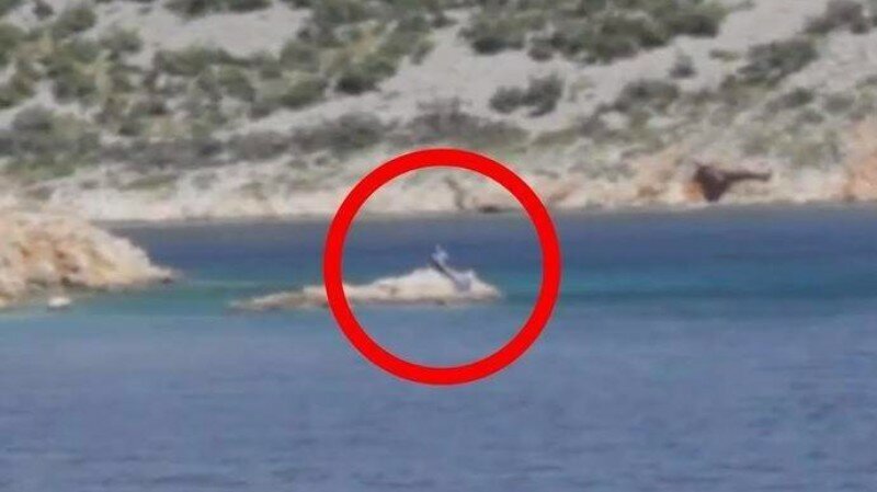 наука,технологии,общество,происшествия,мнение,русалка