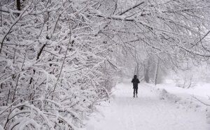 ​В Москве первый день зимы порадует жителей и гостей столицы морозной и солнечной погодой