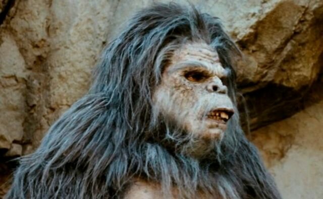 Сибирь, Россия, Йети, общество, наука, происшествие