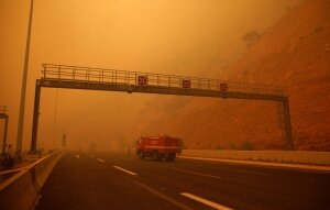 Появились новые данные о жертвах лесных пожаров в Греции - подробности