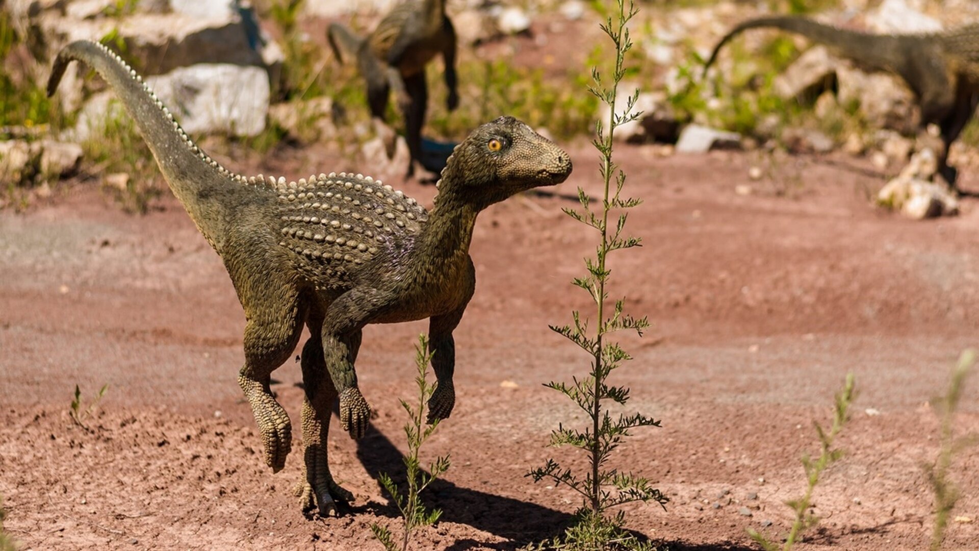 На Аляске обнаружили следы динозавров, появились уникальные фото