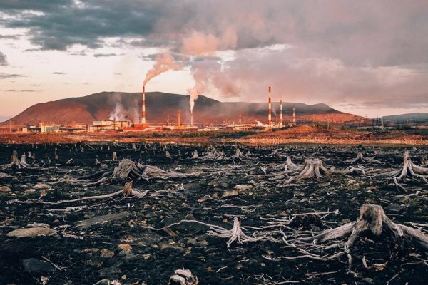 Опубликован секретный прогноз Ванги до конца века: война, ледниковый период и страшный вирус