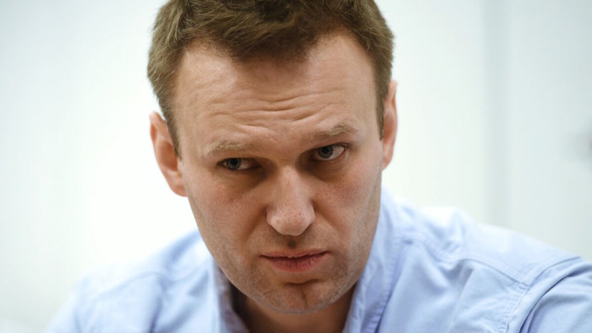 Врач Мураховский рассказал, нашли ли яд в организме Навального