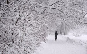 Синоптики Гидрометцентра дали прогноз погодных условий на декабрь для Москвы
