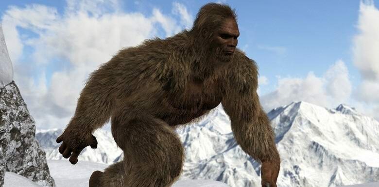 В Архангельской области мужчина снял на видео существо, которое по очертаниям напоминало йети