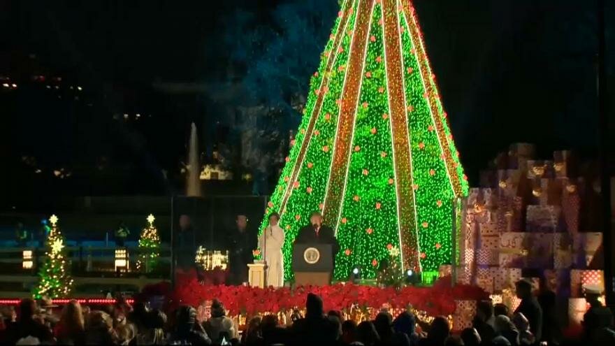 В Вашингтоне произошел инцидент с рождественской елкой возле Белого дома