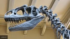 Ученые выяснили, что Россия оказалась родиной титанозавров