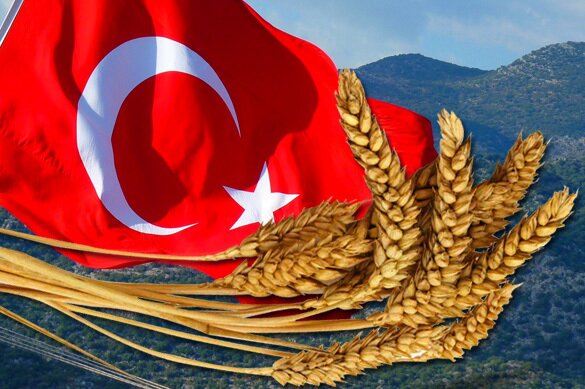 СМИ: Турция вводит новые ограничения на поставки российского продовольствия 