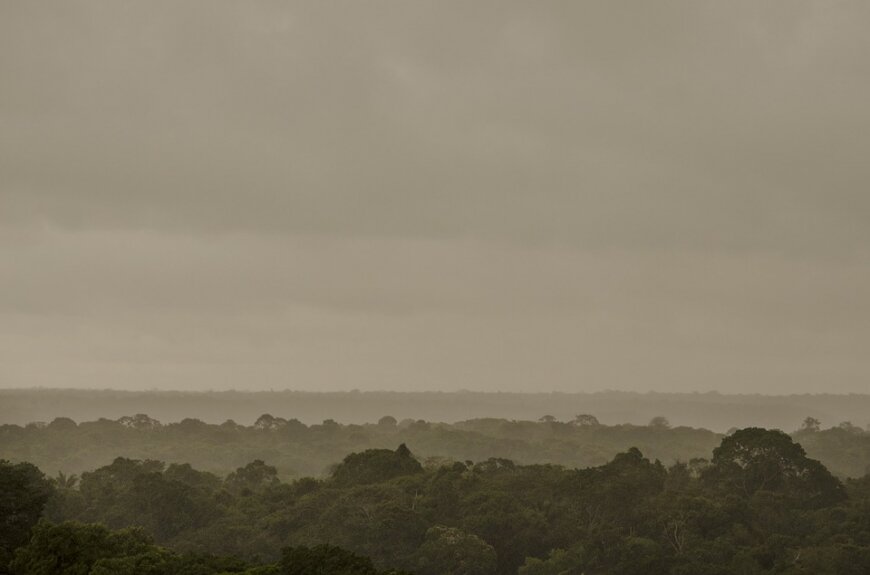 Удивительное открытие уфологов: в джунглях Амазонки находится хорошо замаскированный корабль инопланетян – кадры 