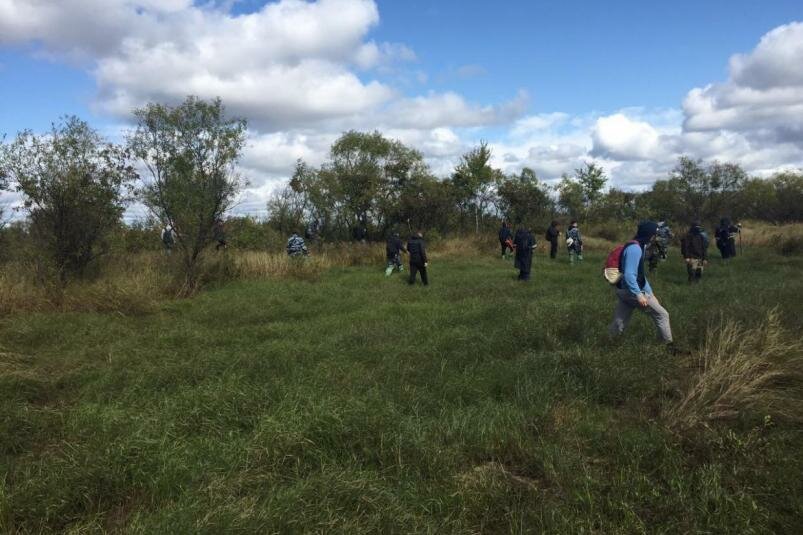 В окрестностях села в Еврейской автономной области нашли останки ребенка