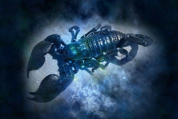 Мехди Вафа, предсказание, прогноз, способности, гороскоп, октябрь, 2019 год, общество, новости россии, скорпион, битва экстрасенсов