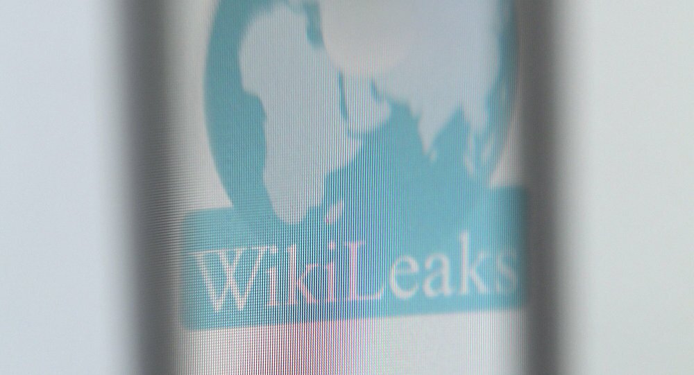 В хакерской атаке на Макрона фигурирует имя россиянина - WikiLeaks 
