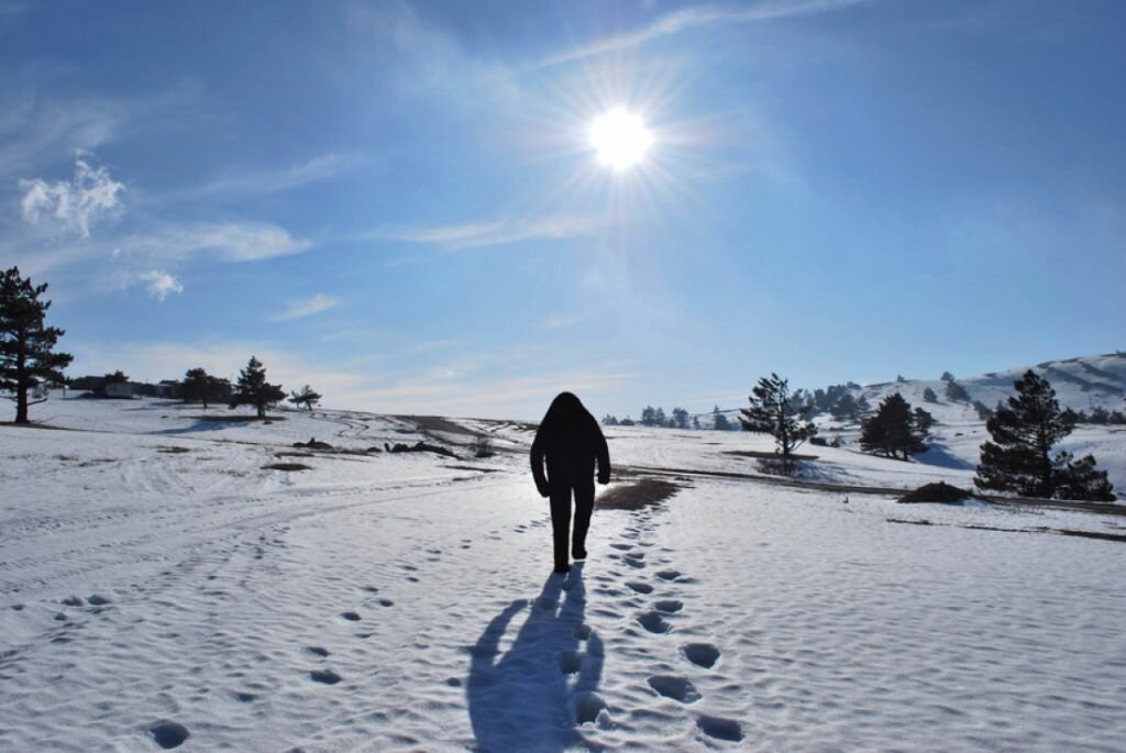 Американец снял на видео рев огромного снежного человека